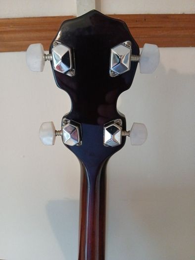 westfield remo four string tenner banjo