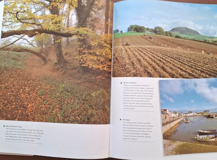 Encyclopedia of  Ireland