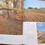 Encyclopedia of  Ireland Image 5