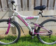 Bike -Adult bicycle