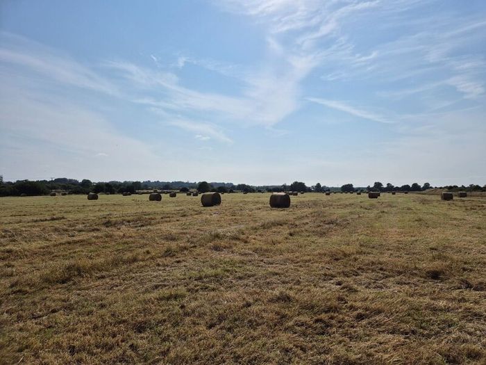 2025 Hay for sale. Horse Hay.