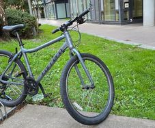 Bike "CARRERA" parva LTD, medium size adult