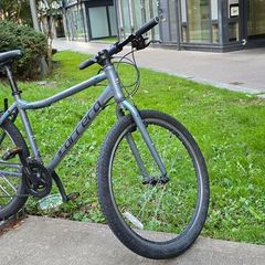 Bike "CARRERA" parva LTD, medium size adult