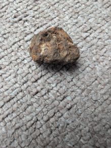 Meteorite Sericho pallasite 18.3g