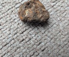 Meteorite Sericho pallasite 18.3g