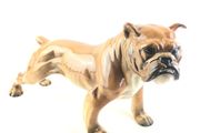 Large Vintage Giovanni Ronzan bulldog figurine