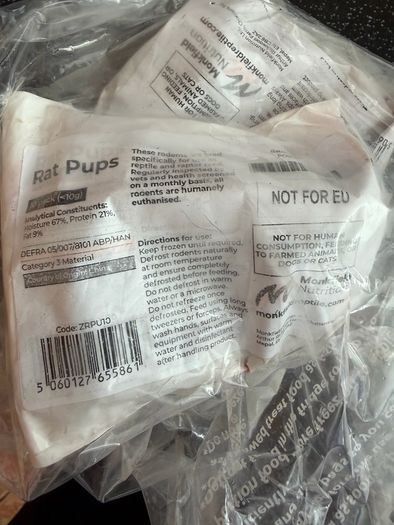 Rat Pups (>10g)