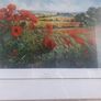 " Wild Poppies " Limited Edition Dorothea Buxton Hyde. Image 2
