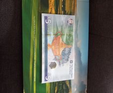 Ryder Cup Banknote