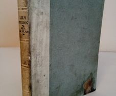 Lily Work by Rev. J. M. Blake (HQ787)