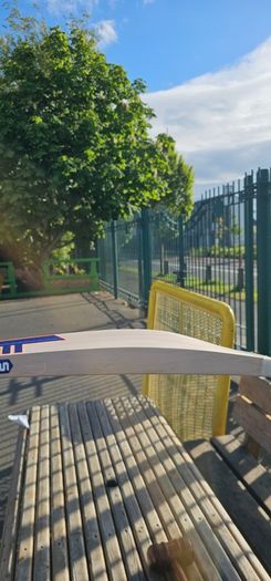 Cricket  Bat
