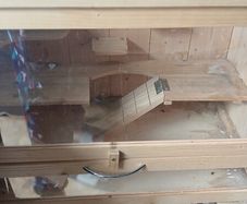 Hamster Cage + tubing