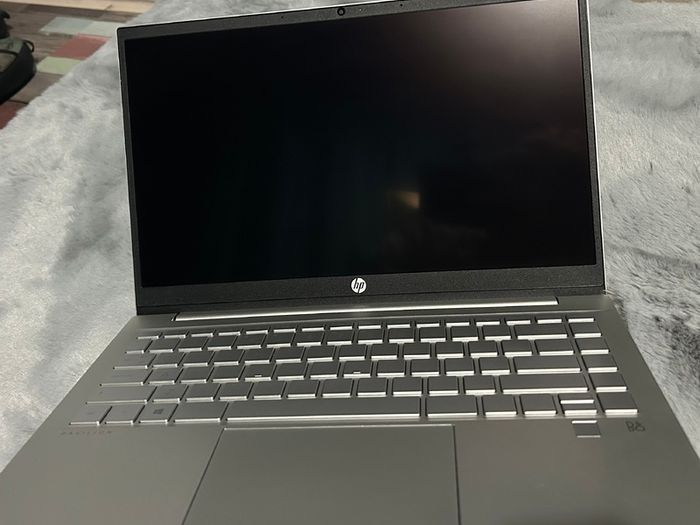 HP Pavillion 14