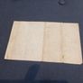 old English white fiver Image 3