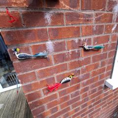 Hanging Toy