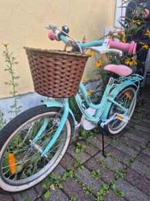 16 inch Girls Bike
