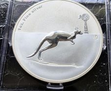 Australia 2013 1 Dollar Kangaroo in Outback - F15 Privy 1oz Silver  Proof coin
