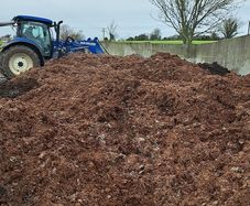 mushroom compost
