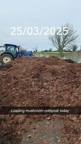 mushroom compost