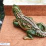 Iguana Decorative Trinket Box Image 5