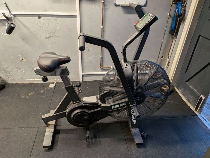 Assault Bike Rogue Echo
