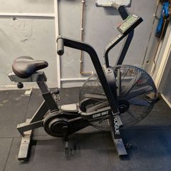 Assault Bike Rogue Echo