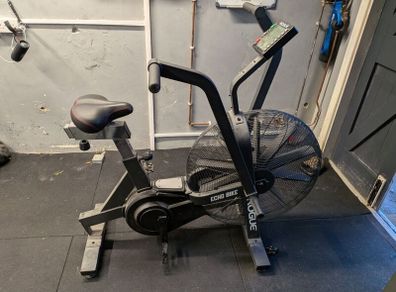 Assault Bike Rogue Echo