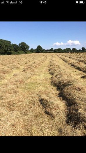 Small square bales of hay