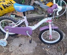 kids 14 inch bike