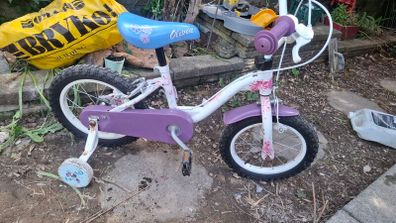 kids 14 inch bike