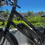 Rad Power RadWagon 4 Electric Bike  Accessories  Excellent Condition Image 7
