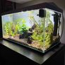 Aquarium full set Image 4