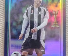 Juventus Yildiz Future Stars /275