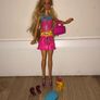 Bundle of 20+ Barbies and accessories Image 6