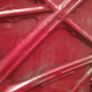 Toyota Corolla E11 Facelift 00-02 Bonnet Hood Red Image 6