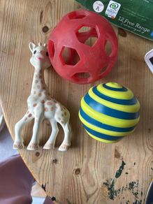 toy