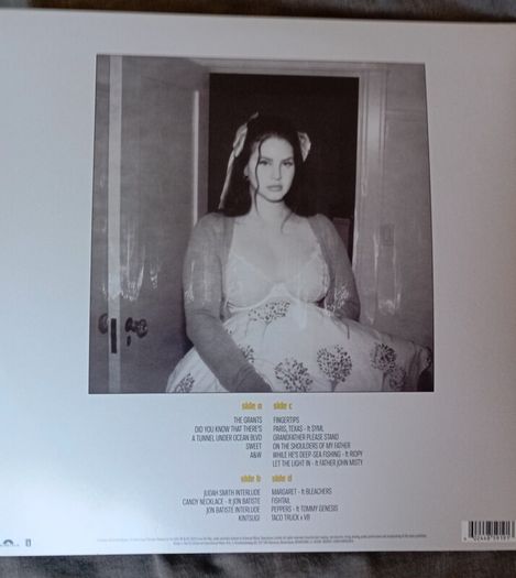 vinyls Lana del Rey and the Weeknd Starboy