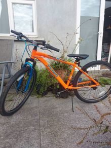 26 Inch Team Mountain Bike