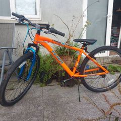 26 Inch Team Mountain Bike