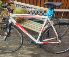 Lombardo Verbania 1000 bicycle