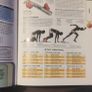 Sport Book Image 2