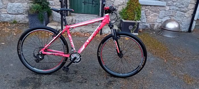 Bargin Mountain Bike