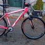 Bargin Mountain Bike Image 2