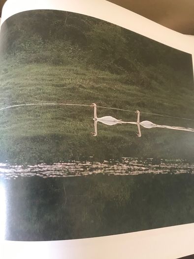 W.B. Yeats-Images of Ireland