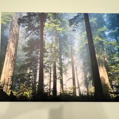 Wall Art