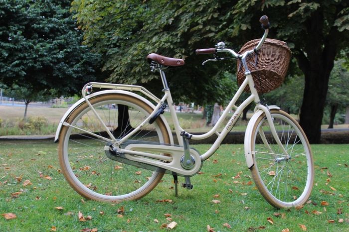 Popal Ladies Dutch Bike 28 Inch 3 Speed Basil Wicker Basket