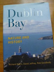 Dublin Bay