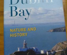 Dublin Bay