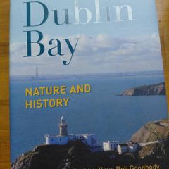 Dublin Bay