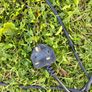 Ferrex Leaf Blower (Vacuum also but bag is damaged) Image 6